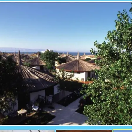 African Beach * Ippocampo