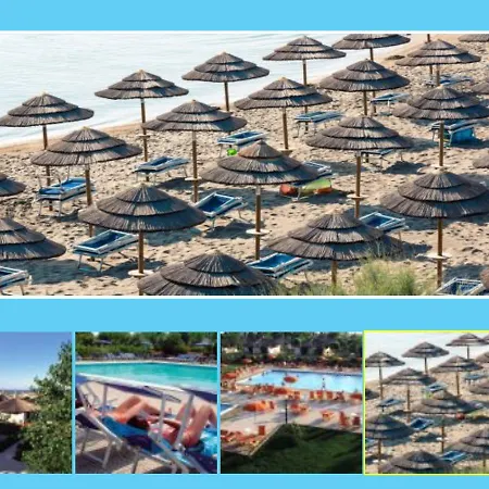 African Beach Ippocampo