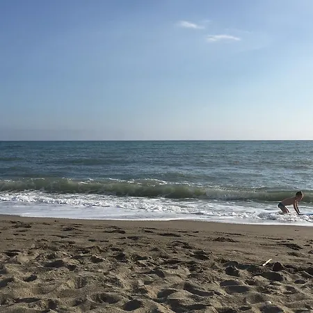 African Beach *